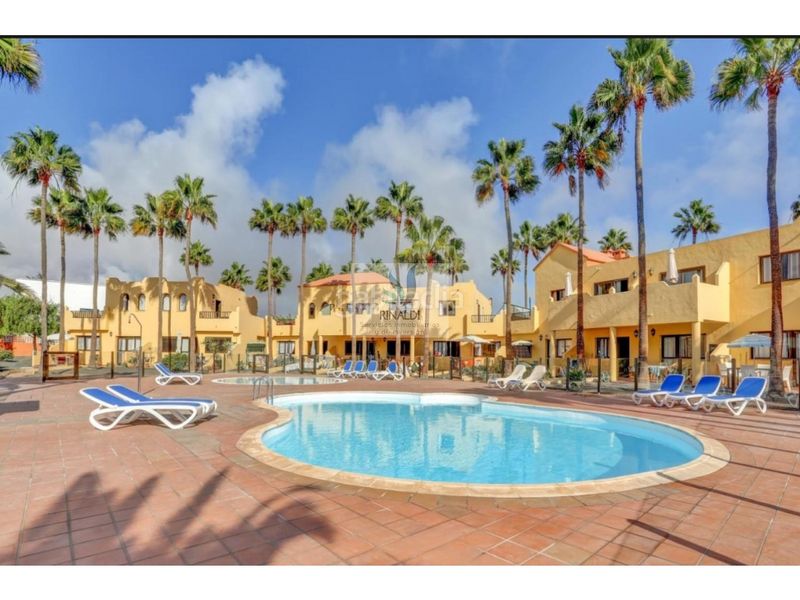 Foto dfae1afd-0678-4960-87b1-d92b681e6cc1. Apartament amb piscina a Corralejo Oliva (La)