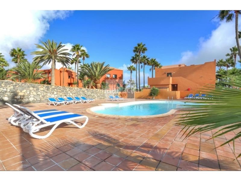 Foto e62df217-b778-44ea-b78c-ee6f8fd93114. Apartament amb piscina a Corralejo Oliva (La)