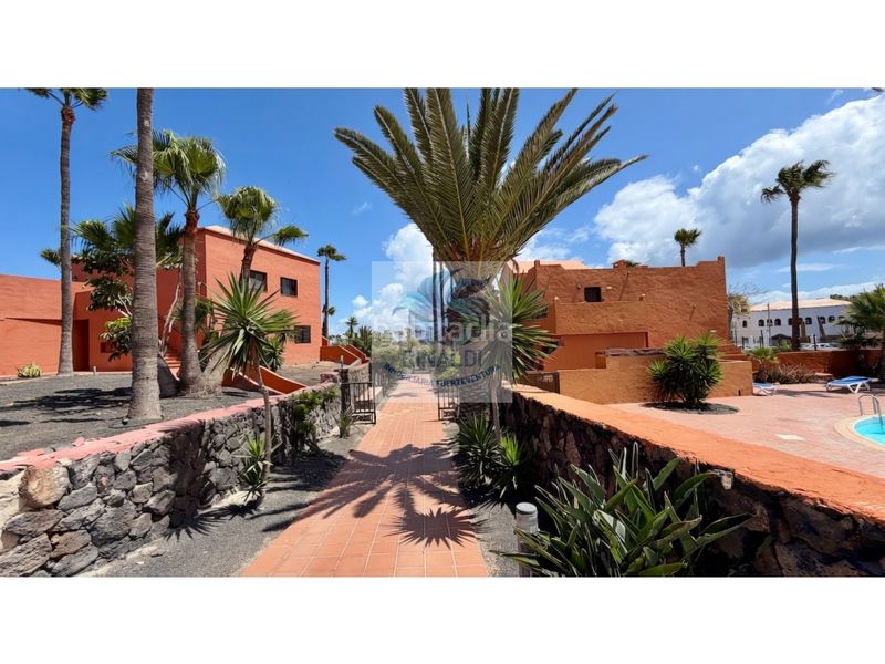 Foto 32960a03-f57e-4957-aee4-03e225c9a0d9. Apartament amb piscina a Corralejo Oliva (La)