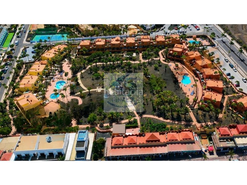Foto 66ffe7f5-7aaa-46a9-b1a9-45467df41e36. Apartament amb piscina a Corralejo Oliva (La)