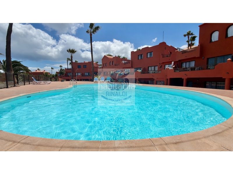 Foto 6aee5657-55b1-4ab4-9560-94e03d515561. Apartament amb piscina a Corralejo Oliva (La)