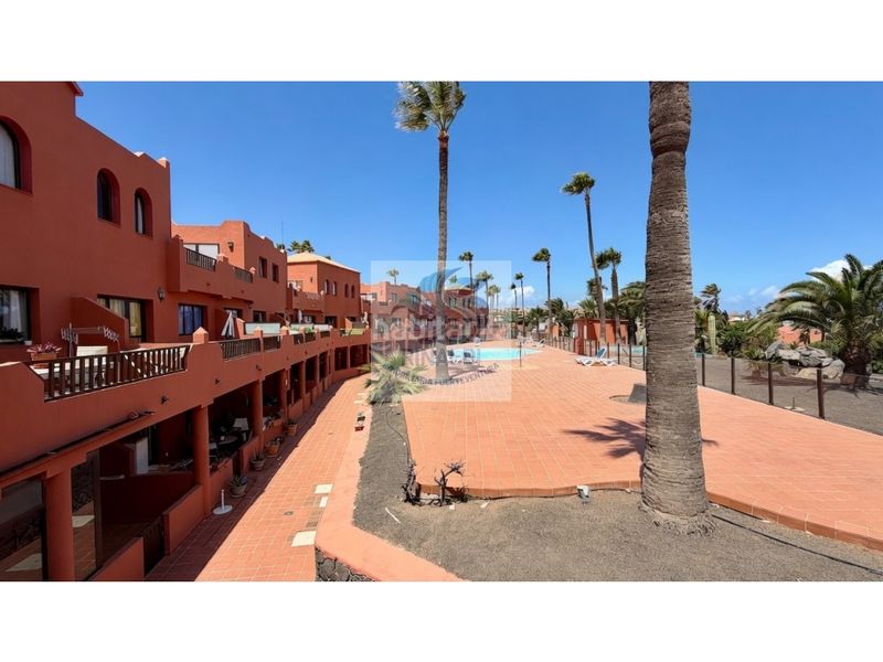 Foto a3a91169-58de-4412-91d7-27f786270db5. Apartament amb piscina a Corralejo Oliva (La)