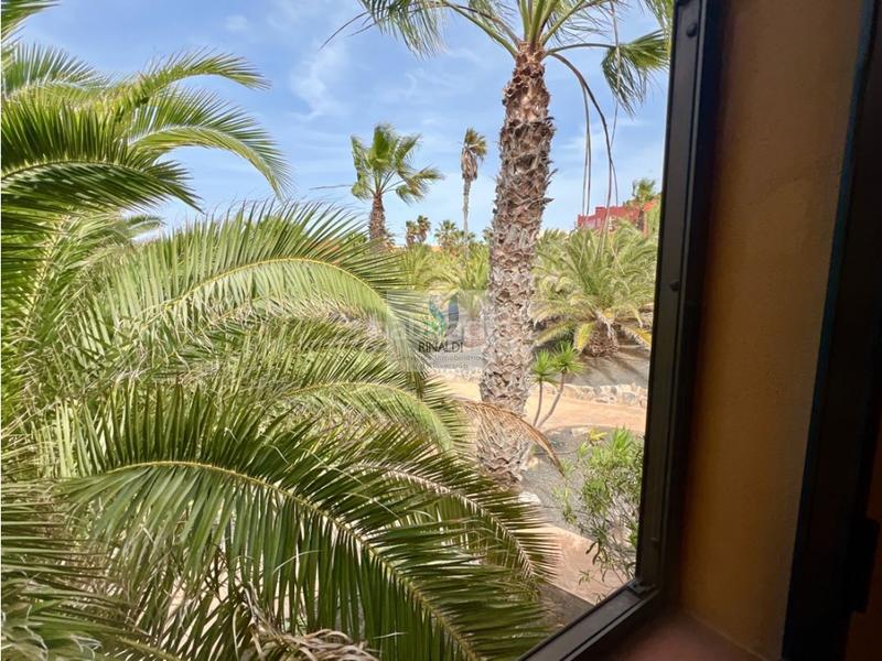 Foto 22367c36-3481-475b-8802-1b0f16005928. Apartamento estupendo apartamento frente piscina en oasis tamarindo 1 en Oliva (La)