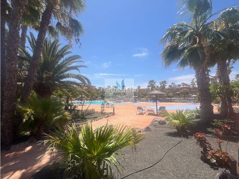Foto 6be2a6b9-6f77-43e9-b667-c1ef722c9c76. Apartamento estupendo apartamento frente piscina en oasis tamarindo 1 en Oliva (La)