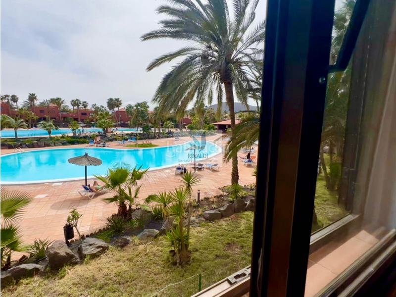 Foto 6bffef56-f95b-4a64-9206-d1efa0070c11. Apartamento estupendo apartamento frente piscina en oasis tamarindo 1 en Oliva (La)