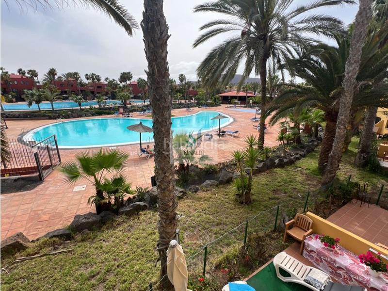 Foto a0d1bb17-32a4-4f5b-88af-cf97e7496404. Apartamento estupendo apartamento frente piscina en oasis tamarindo 1 en Oliva (La)