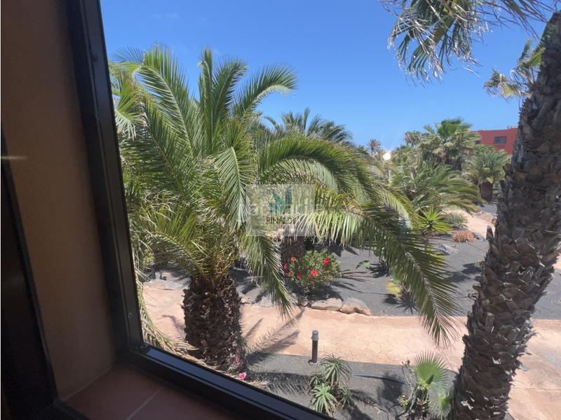 Foto b3da2a46-fac1-402d-a807-b13ec14ca486. Apartamento estupendo apartamento frente piscina en oasis tamarindo 1 en Oliva (La)