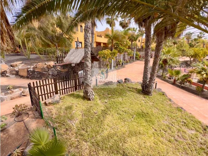 Foto e9a4132e-b72f-455f-a555-d45bfe119dd7. Apartamento estupendo apartamento frente piscina en oasis tamarindo 1 en Oliva (La)
