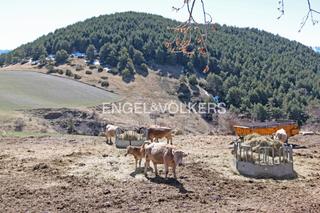 Casale in Prullans. Finca rústica en un entorno inmejorable