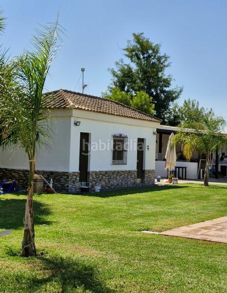 Foto 1dfe4302-7597-4cc0-ba88-97e6691dace6. Fondo rustico in Pedanías Norte Utrera