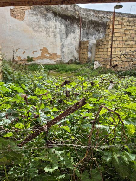 Foto a9a4dcd8-2244-498b-9898-9e2bcb2c47d2. Casa a Centro Utrera