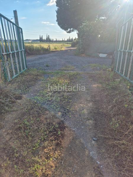 Foto 6f6216a8-8d2e-489d-80b4-e05f560e441a. Finca rústica a avenida maría auxiliadora 40 a Torre Cruz - Los Molinos Utrera