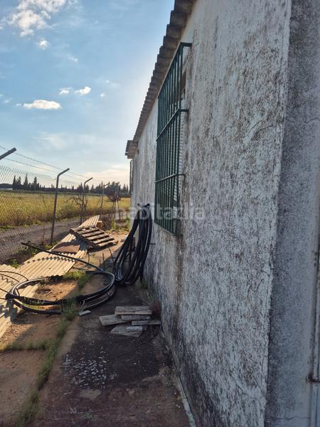 Foto 9d4a4679-be54-457d-a935-6558256b0a5f. Finca rústica a avenida maría auxiliadora 40 a Torre Cruz - Los Molinos Utrera