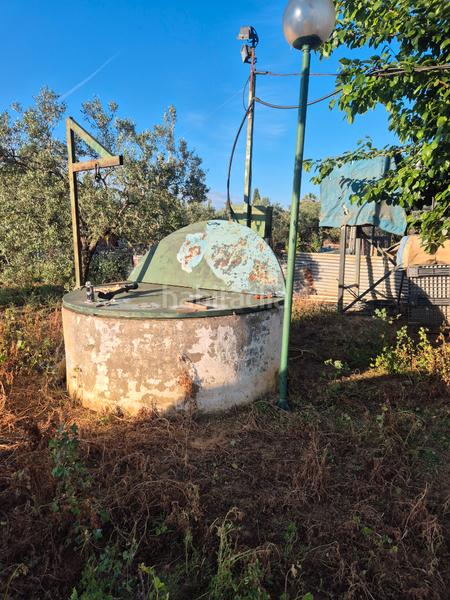 Foto a7700162-0e6a-4a7e-a55d-4dc03066592c. Finca rústica a avenida maría auxiliadora 40 a Torre Cruz - Los Molinos Utrera