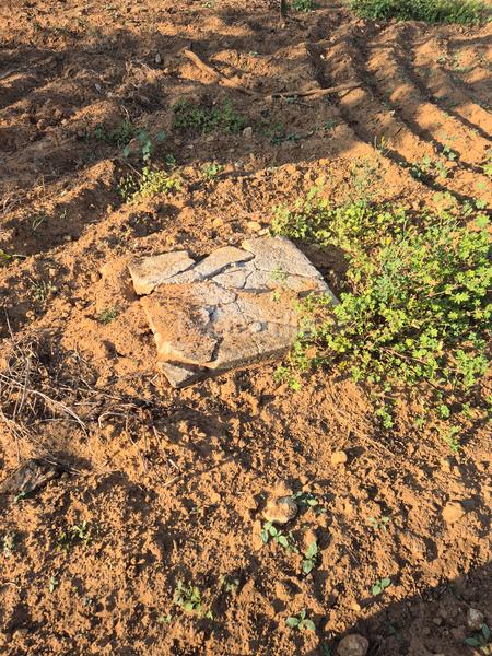 Foto e7a9a6f8-e1f0-468b-ad62-d7f59168d30e. Finca rústica a avenida maría auxiliadora 40 a Torre Cruz - Los Molinos Utrera