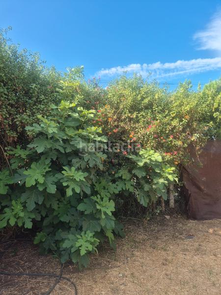 Foto b8754fdd-b91d-4387-91de-32e58a916206. Terreno residenziale in Pedanías Norte Utrera