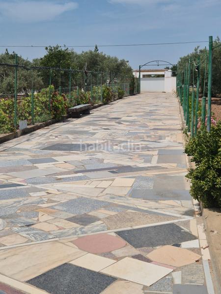 Foto 1b194dab-4e7a-4ad9-bace-16fa4d22ef8b. Terrain résidentiel dans Salesianos Utrera