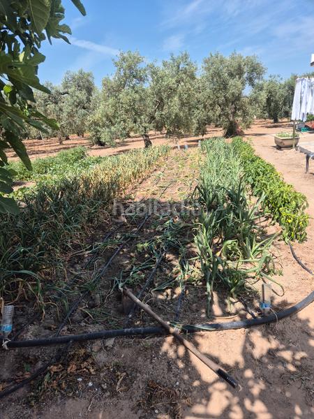 Foto 381c406f-ec27-4b81-bd40-af0395ec6a7d. Terrain résidentiel dans Salesianos Utrera