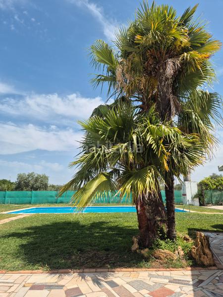 Foto 6dd907b1-90fb-427f-9fd9-b6c2021af3eb. Terrain résidentiel dans Salesianos Utrera