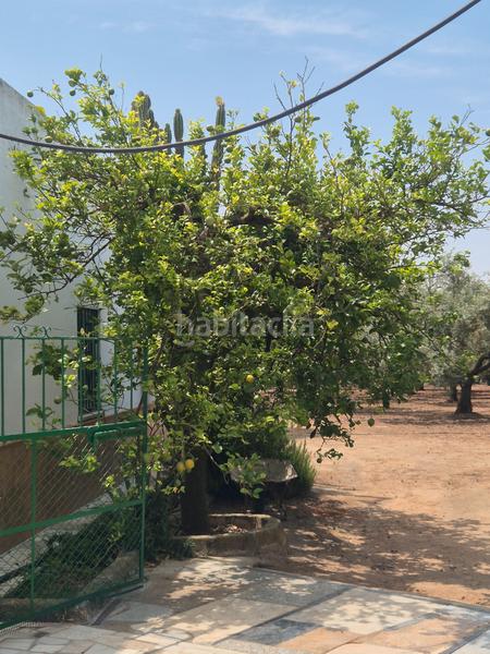 Foto dca1d415-b0f0-4ca1-b79a-22af66beeb6e. Terrain résidentiel dans Salesianos Utrera