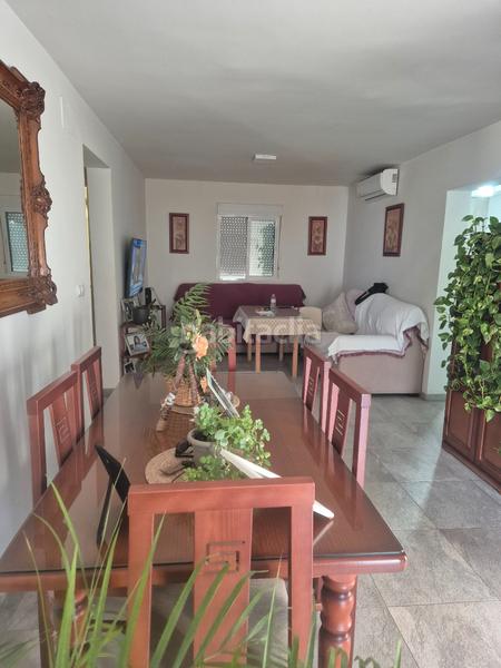 Foto aa5528e4-05a8-4906-bc74-5ffd53c3a90d. Pis a Estación - La Fontanilla - El Tinte Utrera