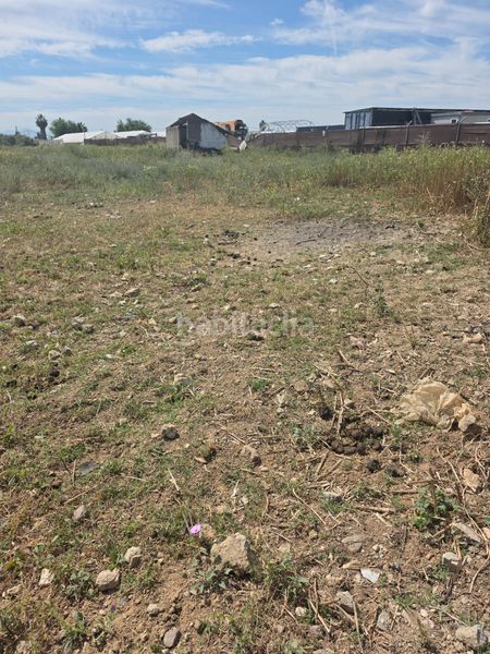 Foto 94f7d135-0dcb-42ba-b76d-aafd69274735. Finca rústica a Pedanías Norte Utrera