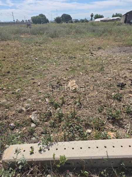 Foto a5f73ca9-639d-4cb6-98a6-ab49f254c973. Finca rústica a Pedanías Norte Utrera