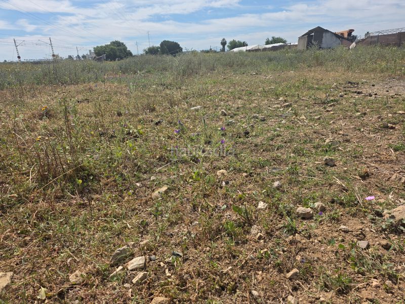 Foto c7ced10a-10a2-47a2-90a6-11d3888b8e4e. Finca rústica a Pedanías Norte Utrera