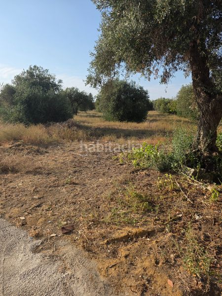 Foto 40f3b1ac-1a73-4593-be9e-2dd52891af76. Terreny residencial a Pedanías Norte Utrera