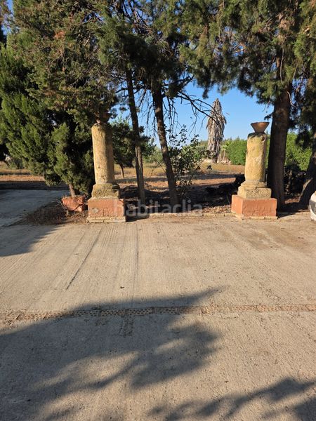 Foto a9d305c4-085b-4d48-b1a0-ff7273ff257e. Terreny residencial a Pedanías Norte Utrera
