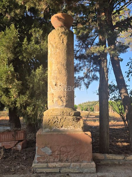 Foto c1a7a502-1946-4704-b5a3-d8831917274c. Terreny residencial a Pedanías Norte Utrera