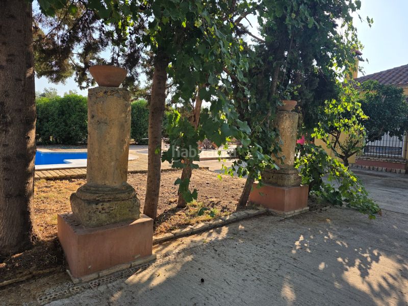 Foto eaadf052-1e16-48d6-b0a6-fdce159b6832. Terreny residencial a Pedanías Norte Utrera