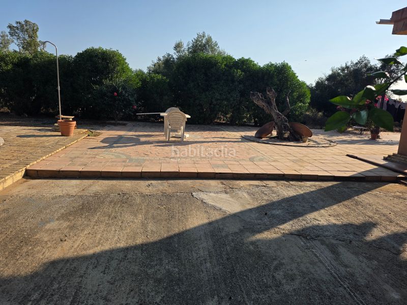 Foto eae7110b-1412-4265-9038-fa3fc2425935. Terreny residencial a Pedanías Norte Utrera