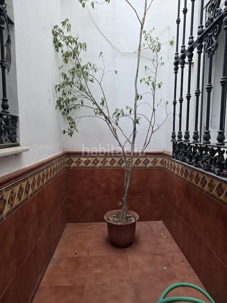 Foto e13672ae-99b8-4d17-a1a2-79f5c240c7b1. Casa adosada  corredera en Centro Utrera