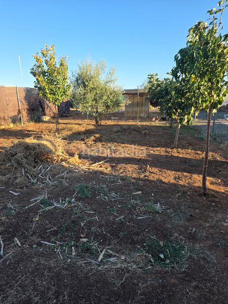 Foto d39d9e14-b65c-4ac5-9b90-55b740749235. Finca rústica a Molares (Los)