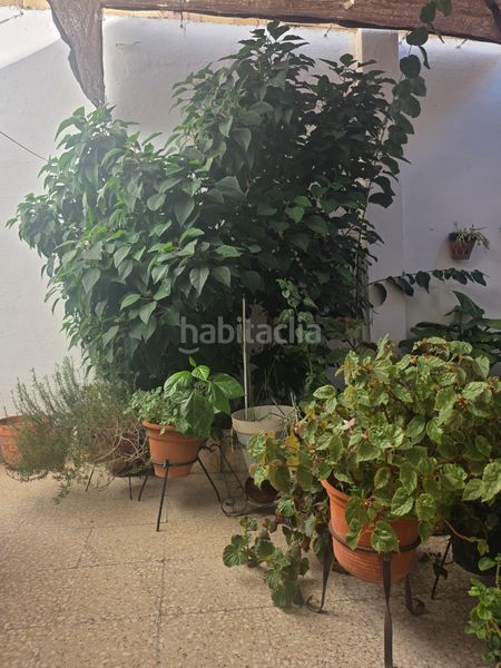 Foto 0fb5cbe2-307f-410a-9946-15314593b184. Casa in Las Torres - Constelaciones Utrera