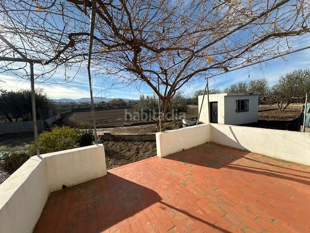 Foto 0586e5db-413e-4d0c-a1c8-a4fa80d1fde5. Finca rústica a polígono lavadero 3 a La Zubia Ciudad Zubia (La)
