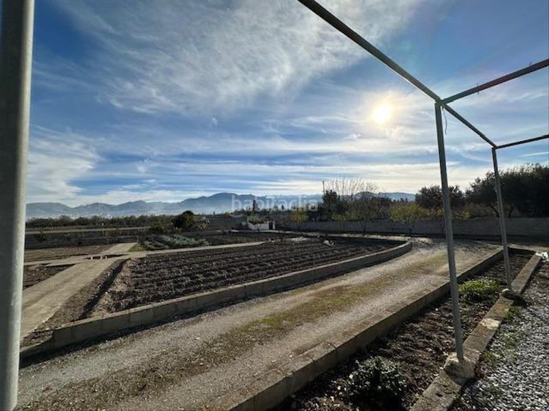 Foto 1e4bcb90-87d5-4e79-bc22-ba79389dee3f. Rural plot in polígono lavadero 3 in La Zubia Ciudad Zubia (La)