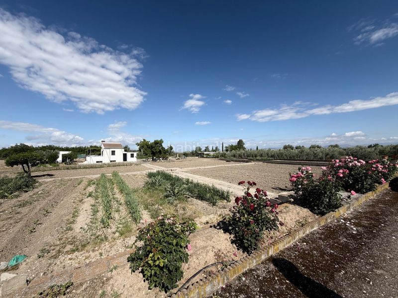 Foto 364a1240-1e25-47b9-8ef2-ca75646f7b82. Finca rústica a polígono lavadero 3 a La Zubia Ciudad Zubia (La)