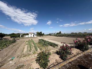 Finca rústica en Polígono lavadero 3