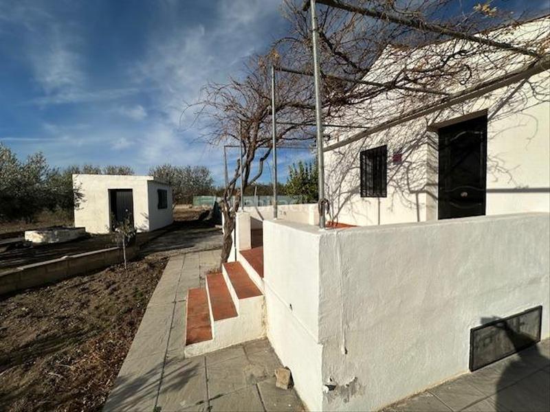 Foto 4e1ced97-05d9-4bdd-b4f6-85e5dd55729f. Rural plot in polígono lavadero 3 in La Zubia Ciudad Zubia (La)