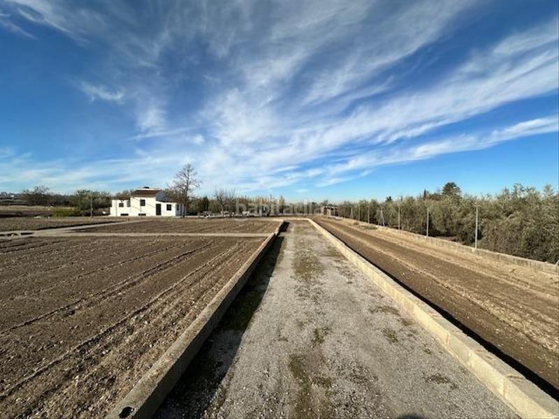 Foto 9c019c5c-5a60-4f59-8569-bb27c9d033d5. Rural plot in polígono lavadero 3 in La Zubia Ciudad Zubia (La)