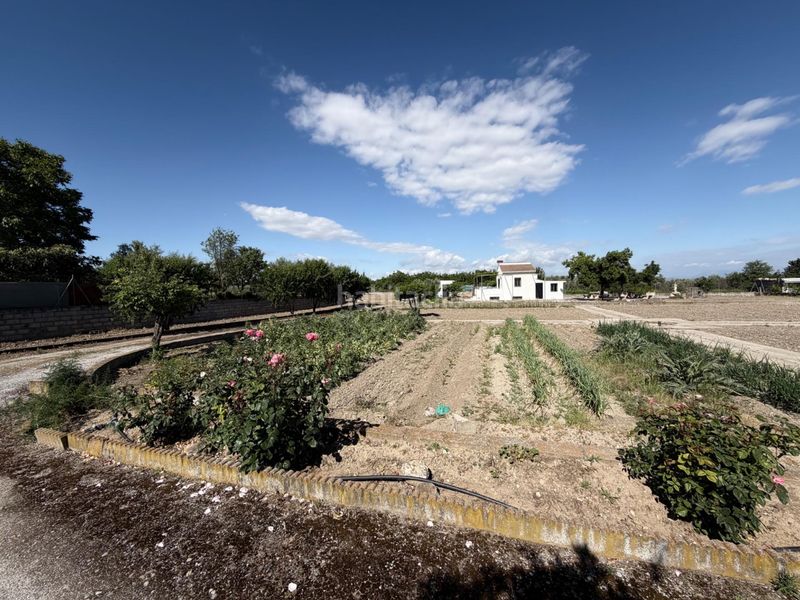 Foto e8a3c29c-ce79-4f56-a271-f1d2b8046c17. Finca rústica a polígono lavadero 3 a La Zubia Ciudad Zubia (La)