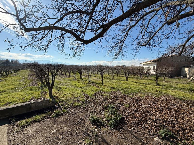 Foto 54ac80b5-7d6e-4a59-9dfb-945dff1e06e0. Finca rústica terreno en venta en la zubia en La Zubia Ciudad Zubia (La)