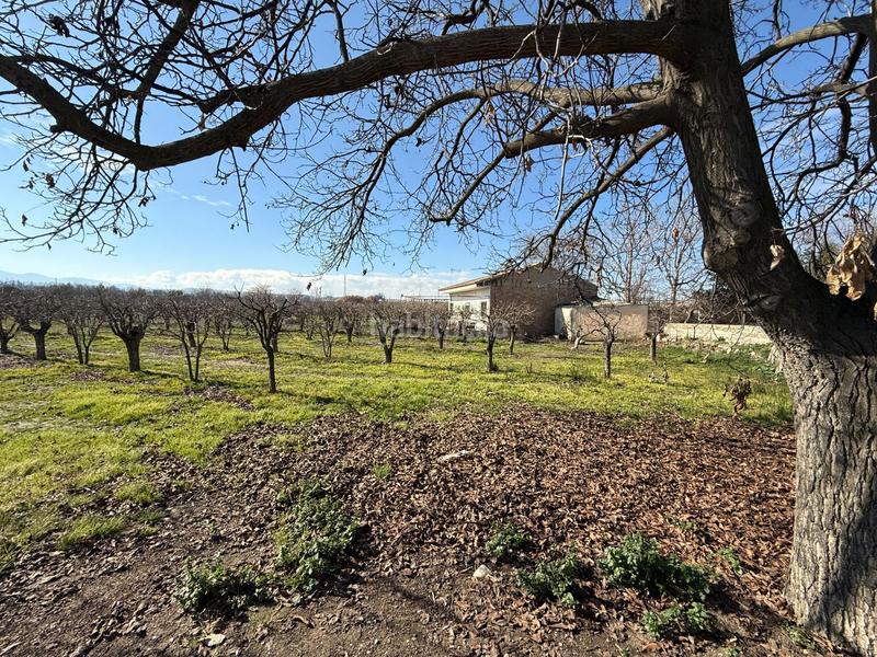 Foto ac606967-7ea0-4c06-9e8e-69fb2aece4c7. Finca rústica terreno en venta en la zubia en La Zubia Ciudad Zubia (La)