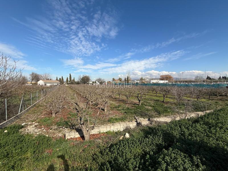 Foto b5b4ed18-42e2-4721-a4be-9d0a6f9201ce. Finca rústica terreno en venta en la zubia en La Zubia Ciudad Zubia (La)