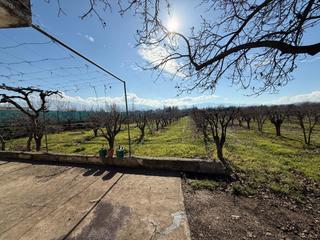Finca rústica a La Zubia Ciudad. Terreno rural en venta en la zubia