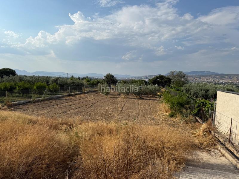 Foto ff41de28-6c87-4f36-afc6-a2ff04cbd477. Fondo rustico in La Zubia Ciudad Zubia (La)