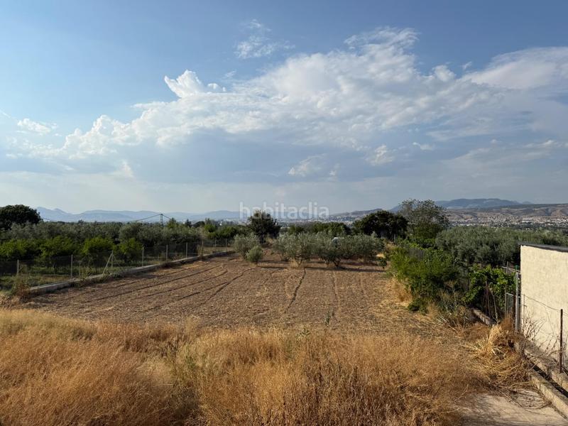 Foto 37841ad9-35d3-42df-a5fe-cb0d8f5e5eb5. Finca rústica venta de terreno rustico en la zubia en Zubia (La)