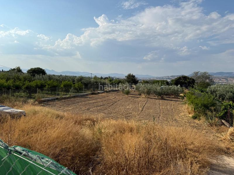 Foto c3b27783-5683-41b6-83c5-51417e6ea177. Finca rústica venta de terreno rustico en la zubia en Zubia (La)